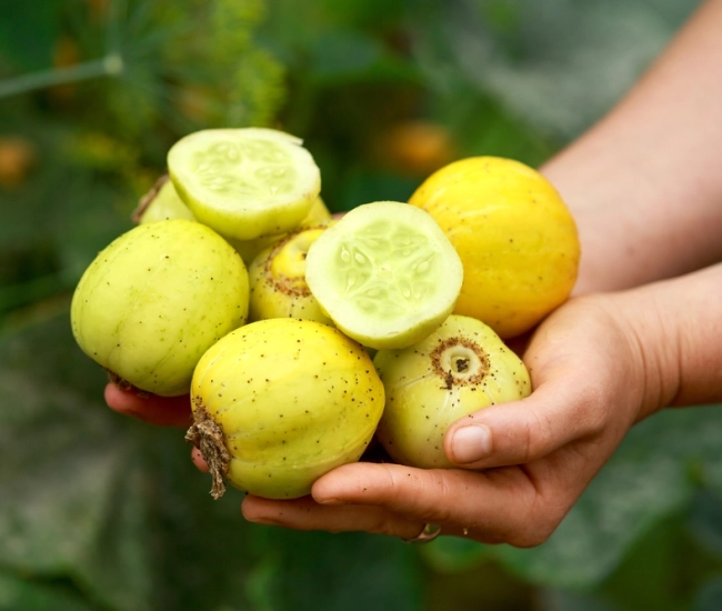 Shutterstock 1805408431 2