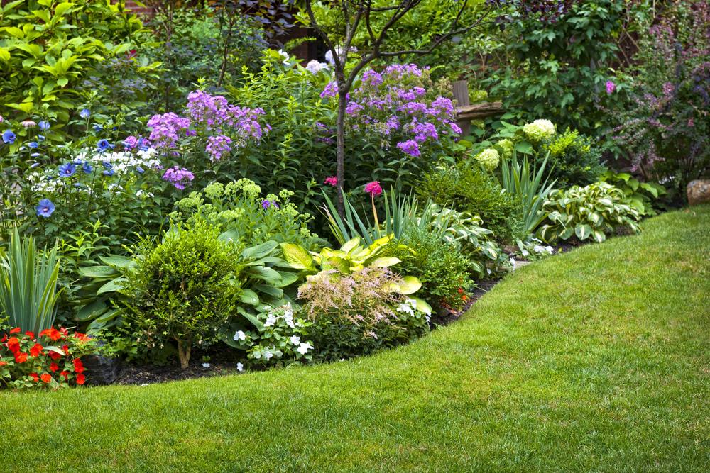 Passion Jardins  Bien choisir vos plantes selon votre environnement